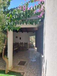 VisForYou Apartments