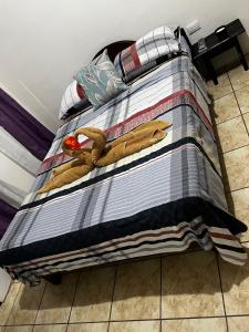 Apartamentos el Bosque