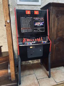 Maison Gaming - Flipper et Arcade - Semi-Troglodyte