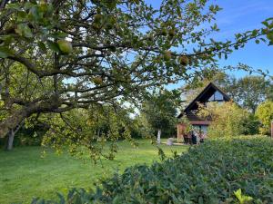 Ferienhaus Westermarkelsdorf