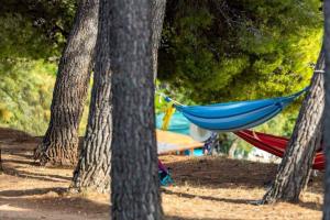 Apartment in Biograd na Moru - Biograd Riviera 53961