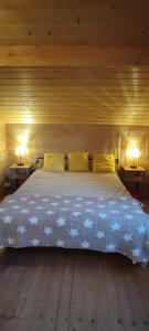 chalet 6 personnes bassin darcachon