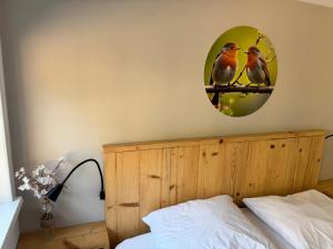 Cosy lodge in beautiful walking and cycling surroundings