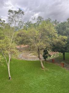 Willows Boutique Hotel