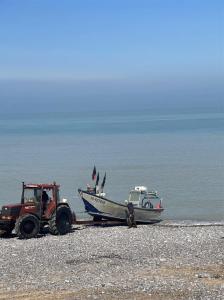 New, CoCoon Côtier, port view