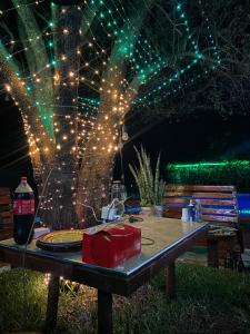 Bush Adventure Guest House