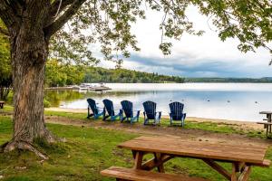 Muskoka Night Dreams Enjoy 3 King Beds