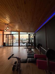 Luxury penthouse with big terrace, tirana view