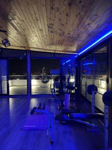 Luxury penthouse with big terrace, tirana view