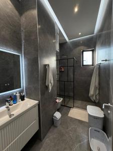 Luxury penthouse with big terrace, tirana view