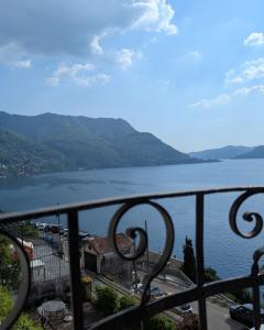 The sunflower of Lake Como