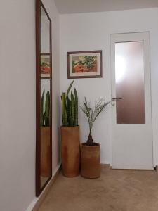 Dar Sghira, small house, with terrace