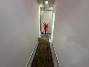 Luxury 4BR 3Bath Apartment in Dokki Cairo
