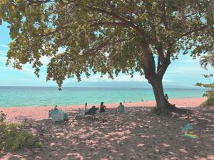 Maui Eldorado Condo C101