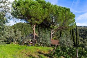 Bigiolo a Melazzano Villa con piscina indipendente in Toscana a Greve in Chianti