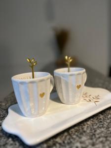 Puerto Amarras II Hotel & Suite