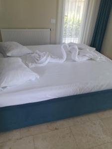 VD Luxury - Adults Only 16