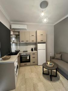 Grey Studio House