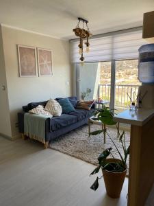 departamento los lagos suit