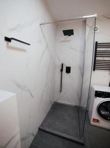 Срібний дім