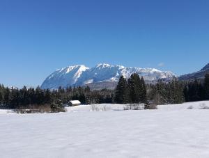 LoipenLoge Apartments