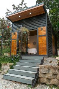 Jungle Retreat Casa Hermosa with AC, Pool for 6 Guests