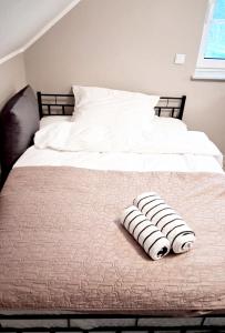 Dom nad Stawem Antoninek - Poznań