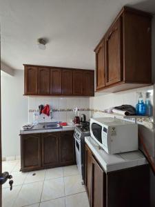 Candela Apartment PUNO