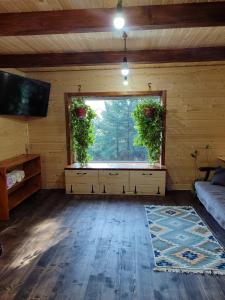 Шале над скелею