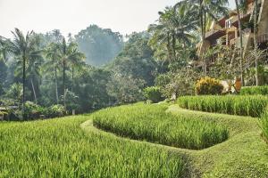 Sayan, Ubud, Bali 80571, Indonesia.