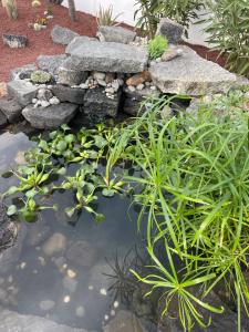 Sport & culture nest