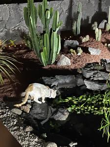 Sport & culture nest