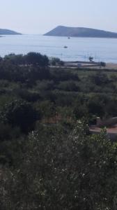 Apartments and Rooms Mery