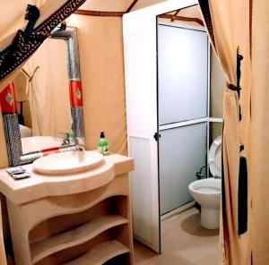 Luxury night stars Stars