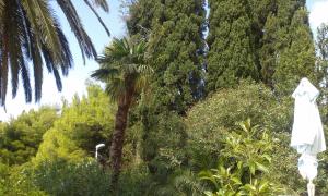 Studio with Sea View room in Villa Tiha
