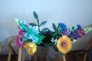 Le Ludenne, Logement LUDique en ardENNE