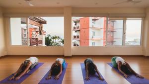 Vivo Resorts - Palmarito Properties