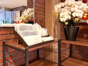 Stella Site Hakodate - Vacation STAY 18056v