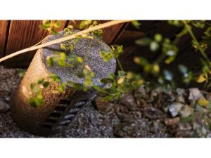 Rinn Kujoharikoji 59 - Vacation STAY 52378v