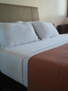 Beachfront Studio with Pool Caponga