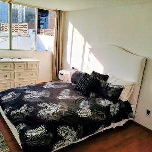 Amplio penthouse colonia del valle