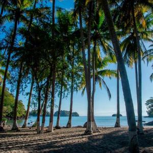 Trinitica Cedros Island Eco Retreat