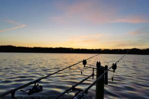 Comfortable house with a view of the lake