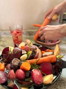 Oasis en Melipulli, Refugio Urbano