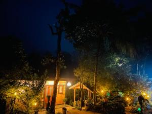 Treetops ella