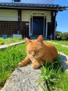 Kura "Ika" - Vacation STAY 95263v