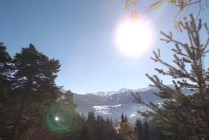 Le chalet dHeidi