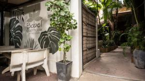 Babel Siem Reap Guesthouse