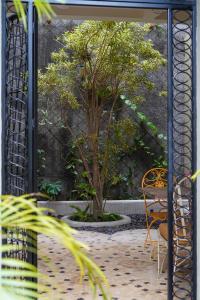 Songbird Boutique Inn