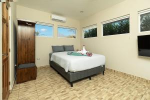 Casa Colibrí - Sophiassuites506